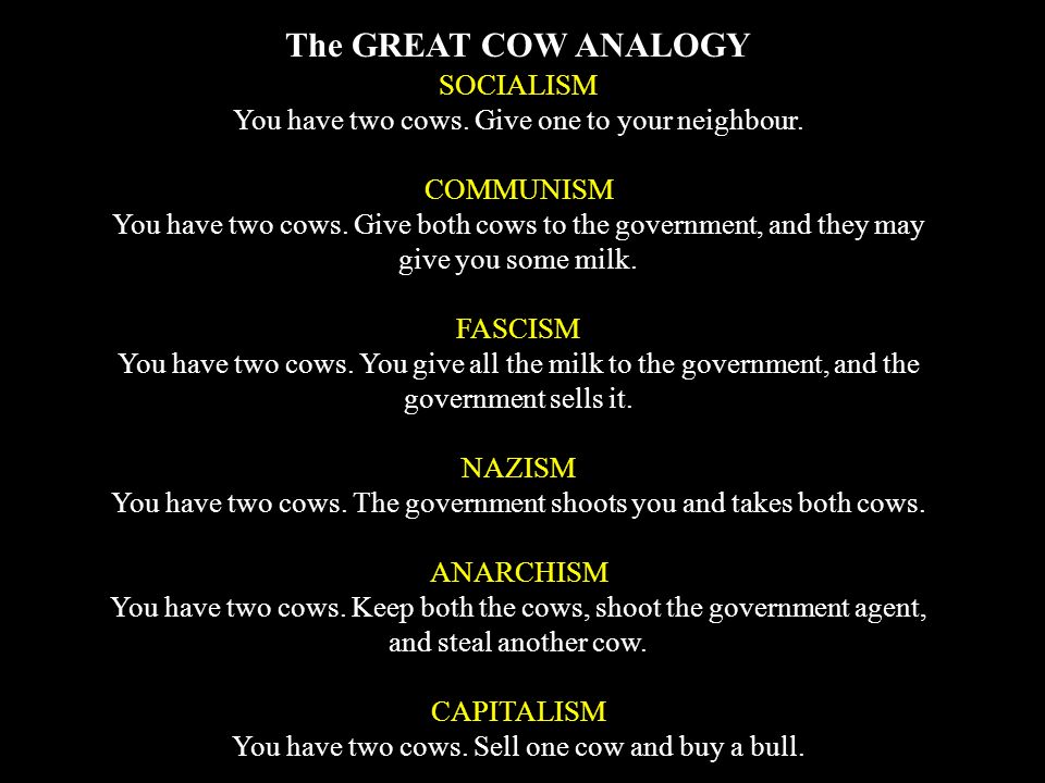 The Great Cow Analogy