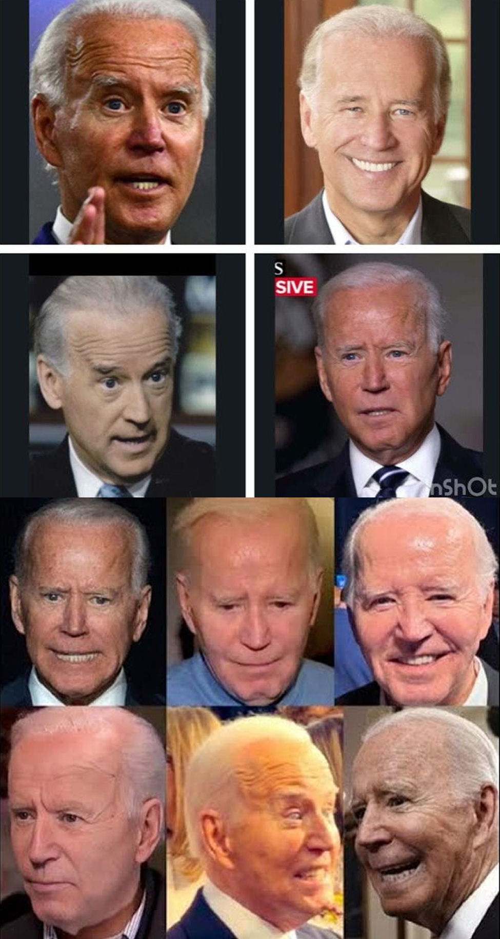 Which of the many Joe Biden doubles would you vote for in the 2024 US Presidential Election?