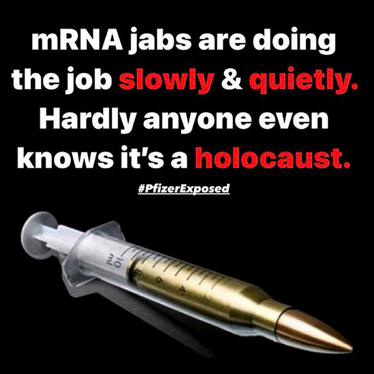 mRNA jabs are doing the job slowly and quietly. Hardly anyone knows it is a holocaust!