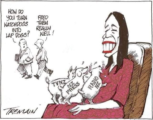 Jacinda Ardern's Media Lapdogs - Fake News Professionals - Fed With Taxpayers Money